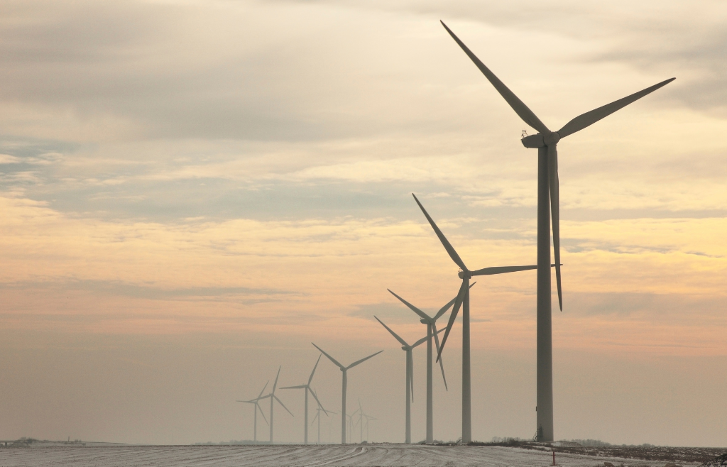 Procédures de permis éolien : un frein majeur aux investissements