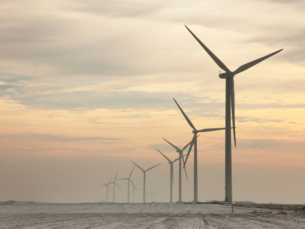 Procédures de permis éolien : un frein majeur aux investissements